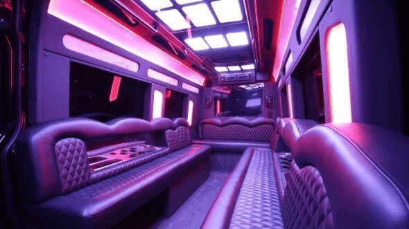 Interior of Charter Bus Company Ontario's 18 Passenger Party Bus in Ontario